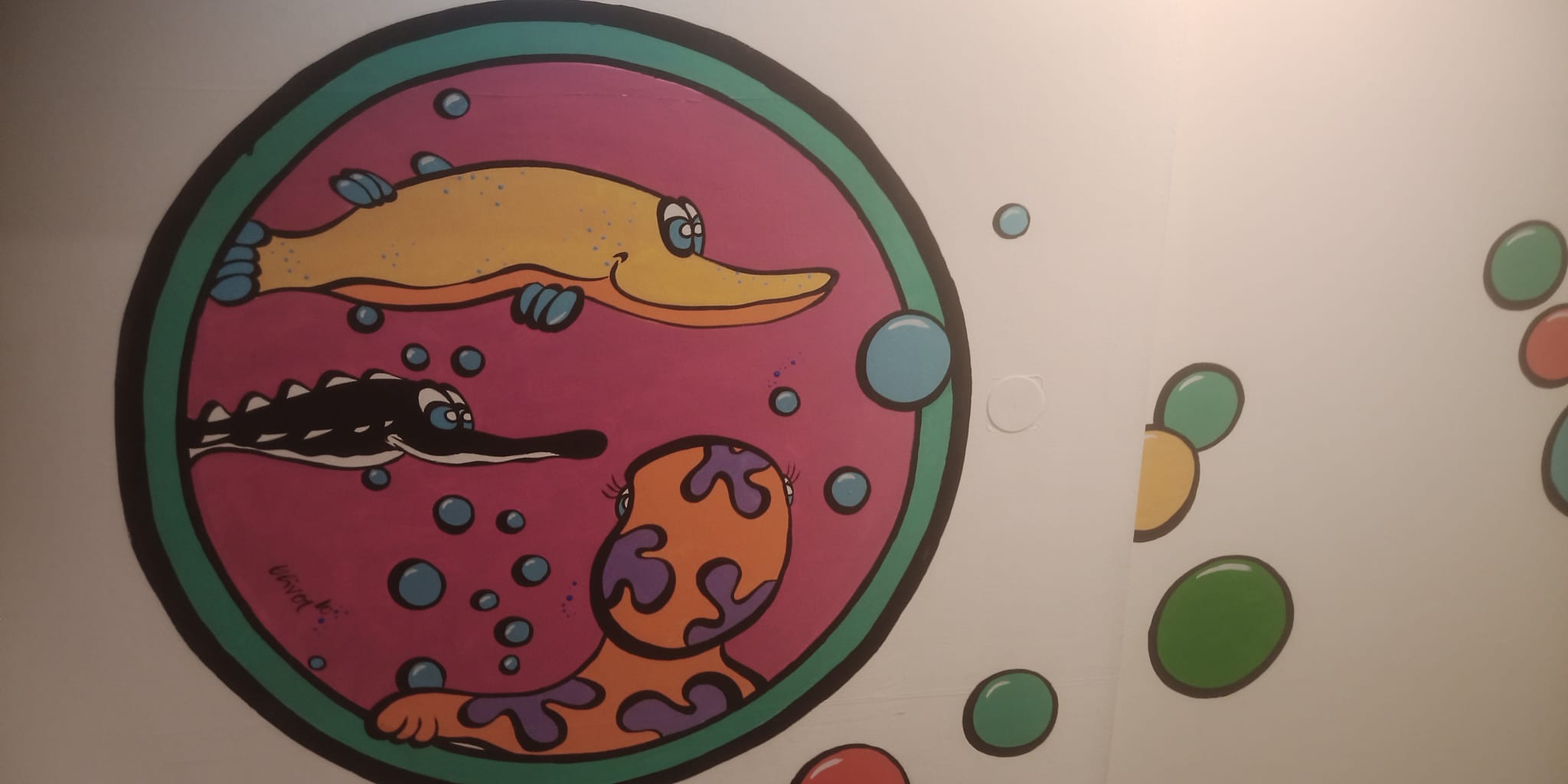 489092970_10022126207799915_7023608806194713853_n