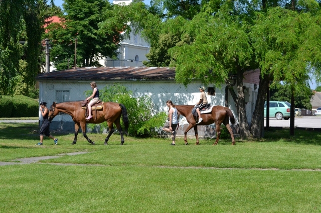 Veča 900. (8)